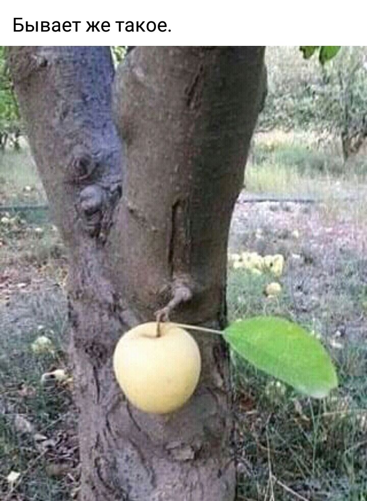 Бывает же такое