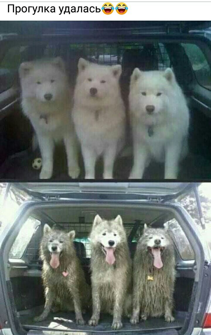 Прогулка удаласьЁЁ
