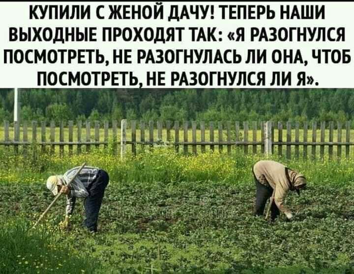 КУПИЛИ С ЖЕНОЙ ДАЧУ ТЕПЕРЬ НАШИ ВЫХОДНЫЕ ПРОХОДЯТ ТАК Я РАЗОГНУЛСЯ ПОСМОТРЕТЬ НЕ РАЗОГНУПАСЬ ЛИ ОНА ЧТОБ ПОСМОТРЕТЬ НЕ РАЗОГНУЛСЯ ЛИ Я