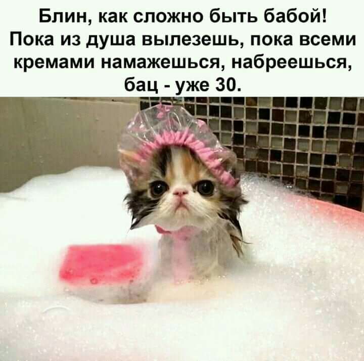 Блин как сложно быть бабой Пока из душа вылезешь пока всеми кремами намажешься набреешься