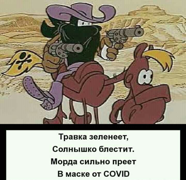 Травка зеленеет Солнышко блестит Морда сильно преет В маске от СОПЭ