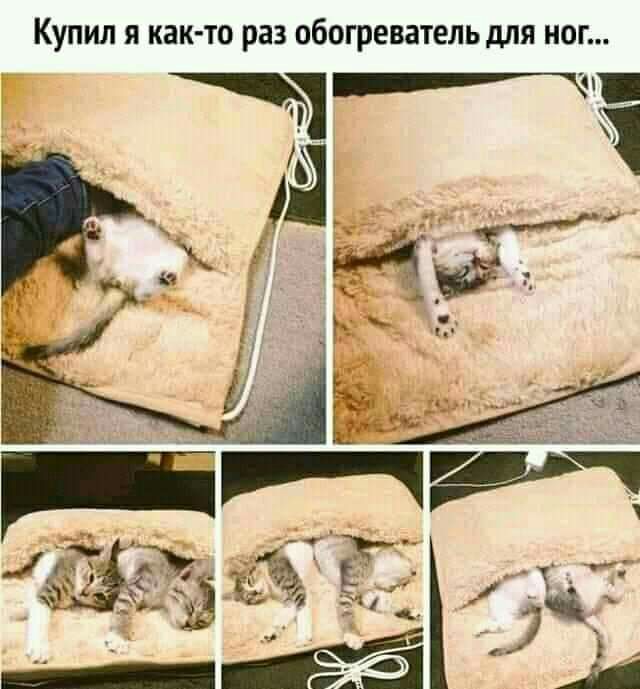 Купил я как то раз обогреватель для ног