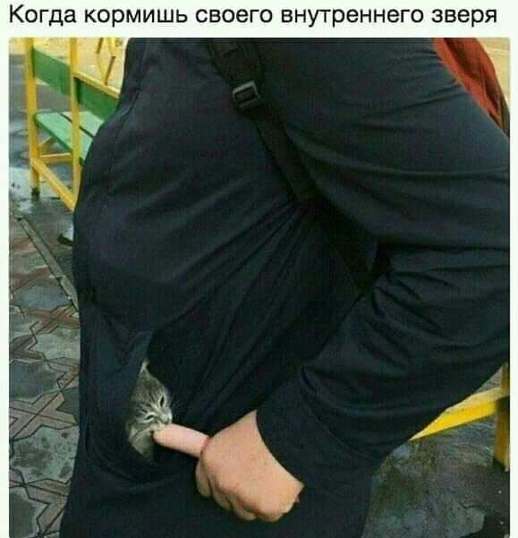 Когда кормишь своего внутреннего зверя