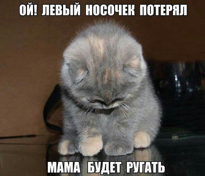 ой ЛЕВЫЙ МЮЧЕН ППТЕРЯП 3 мпіип ШШ гицпть