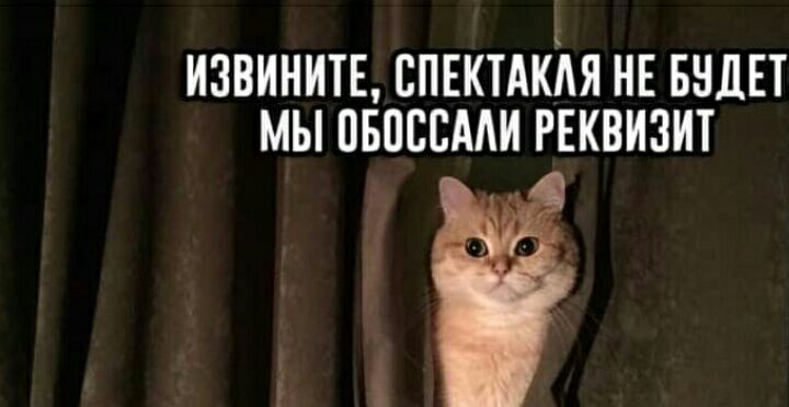 извинить спвктикия нв видит мы пвпссиии гвквизит