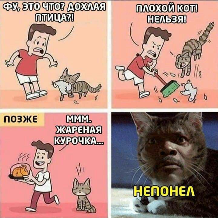 63 АОХААЯ п дамой