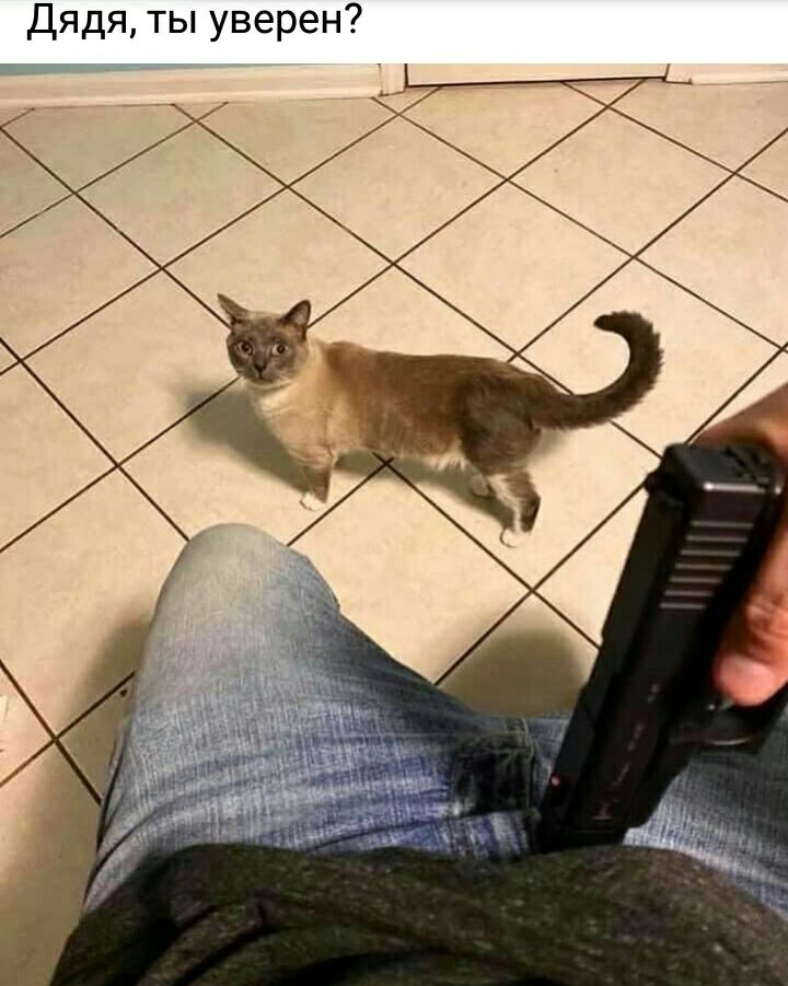 Дядя ты уверен