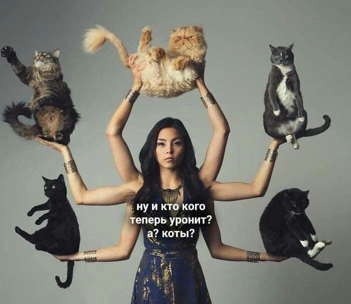 ну и кт кого _ еперь уронит е коты