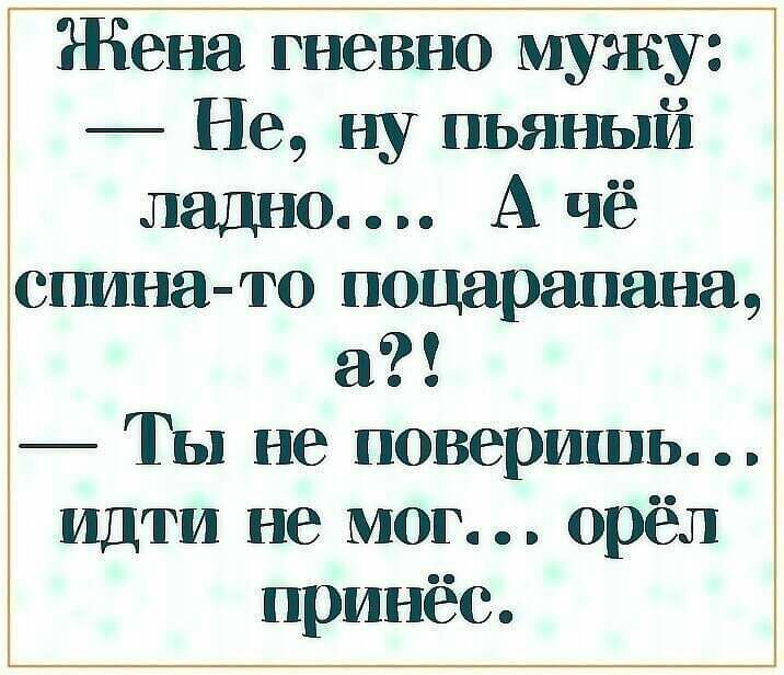 Жена гневно мужу Не ну пьяный ладно А чё спина то ноцарапана а Ты не поверишь идти не мог орёл принёс