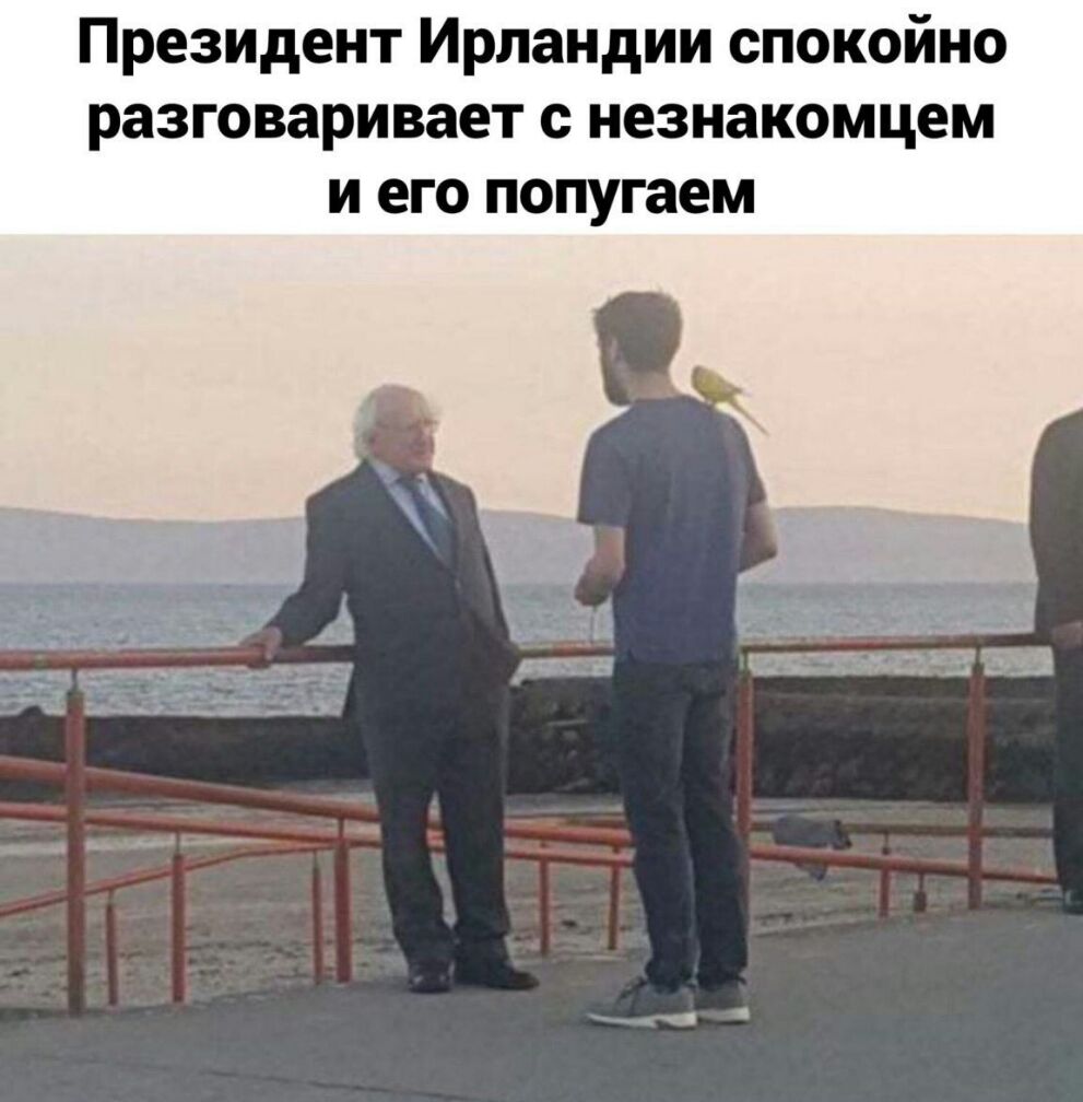 Президент Ирландии спокойно разговаривает с незнакомцем и его попугаем