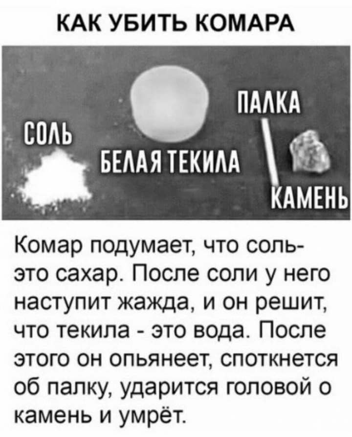 КАК УБИТЬ КОМАРА Комар подумает что соль это сахар После соли у него наступит жажда и он решит что текила это вода После этого он опьянеет споткнется об палку ударится головой о камень и умрёт