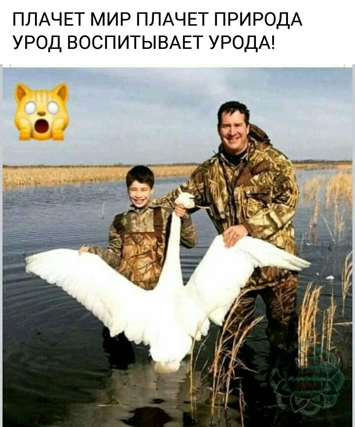ПЛАЧЕТ МИР ПЛАЧЕТ ПРИРОДА УРОД ВОСПИТЫВАЕТ УРОДА