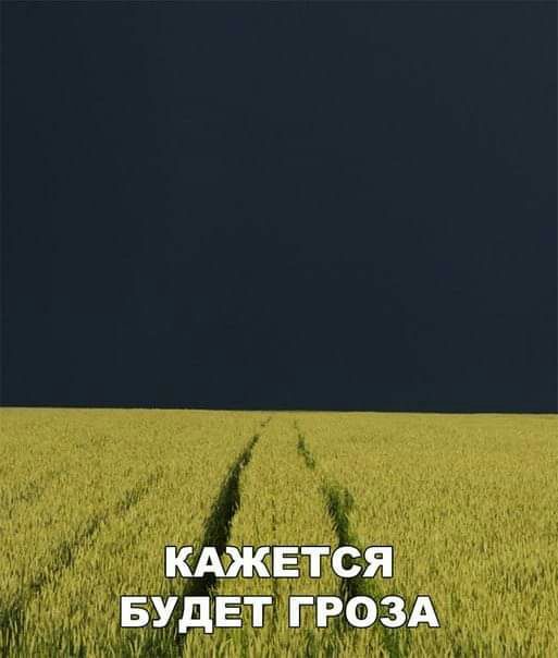 КАЖЕТСЯ БУДЕТ ГРОЗА