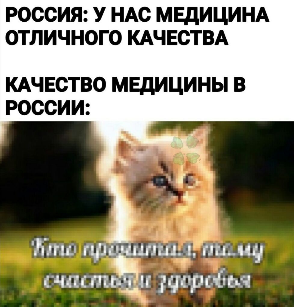 РОССИЯ У НАС МЕДИЦИНА ОТЛИЧНОГО КАЧЕСТВА КАЧЕСТВО МЕДИЦИНЫ В РОССИИ