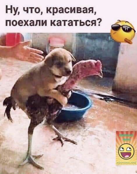 Ну что красивая поехали кататься
