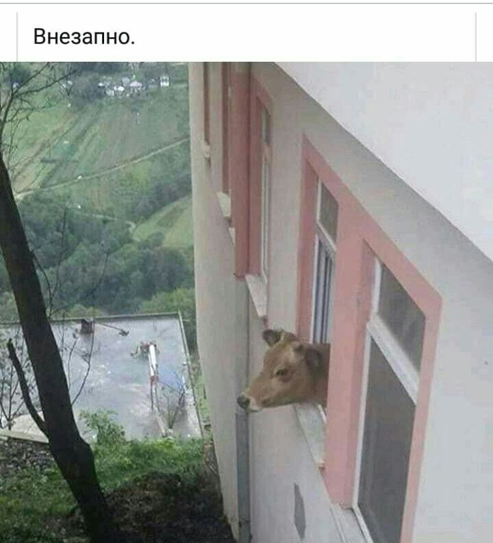 Внезапно
