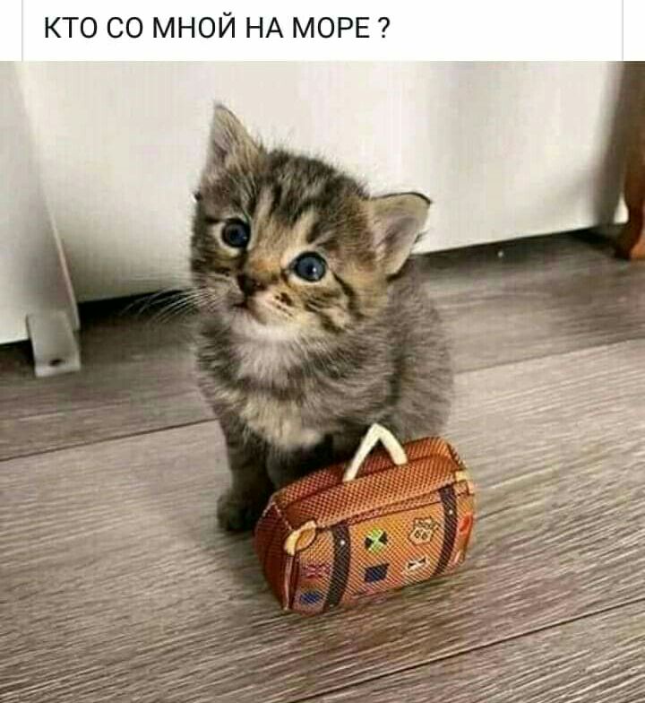 гг Р О М А Н И О Н М О С О Т К