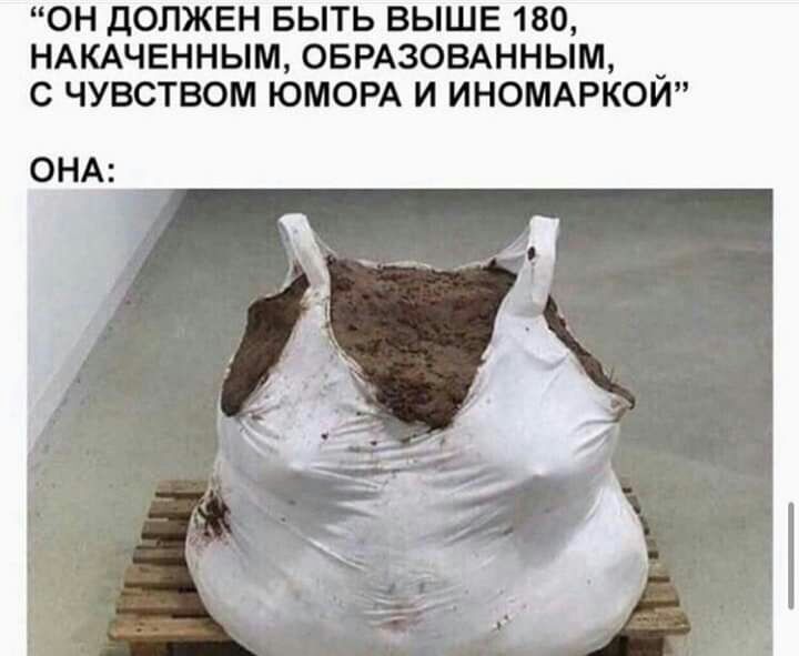 ОН ДОЛЖЕН БЫТЬ ВЫШЕ 180 НАКАЧЕННЫМОБРАЗОВАННЫМ _ С ЧУВСТВОМ ЮМОРА И ИНОМАРКОИ ОНА