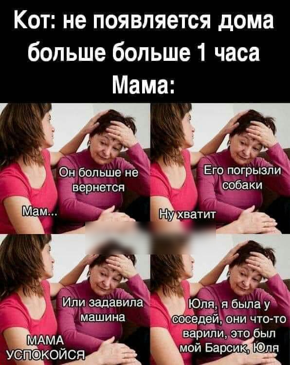 Кот не появляется дома больше больше 1 часа Мама Он больше не х_вернется 0053 ЁЕЗТИТ АС Или задавипа Юля я была у машина степей они что то варилиэто был МАМА_ мой Барсик Юля У6КОИСЯ Его погрызли