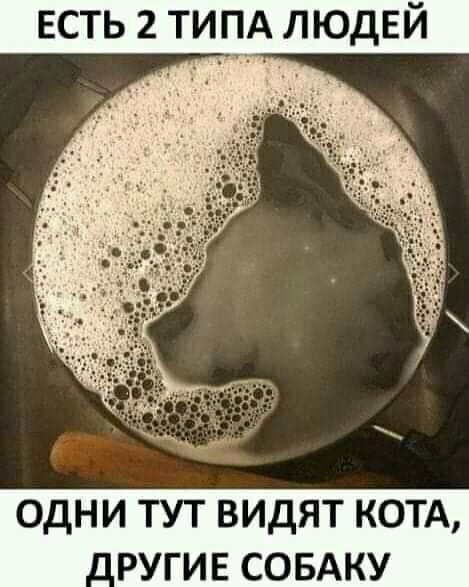 ЕСТЬ 2 ТИП_А ЛЮДЕЙ ОДНИ ТУТ ВИДЯТ КОТА РУГИЕ СОБАКУ