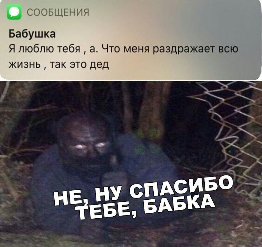 Ц СООБЩЕНИЯ Бабушка Я люблю тебя а Что меня раздражает всю ЖИЗНЬ ТЭК ЭТО дед