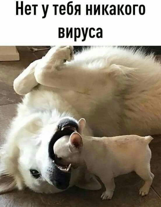 Нет у тебя никакого вируса _