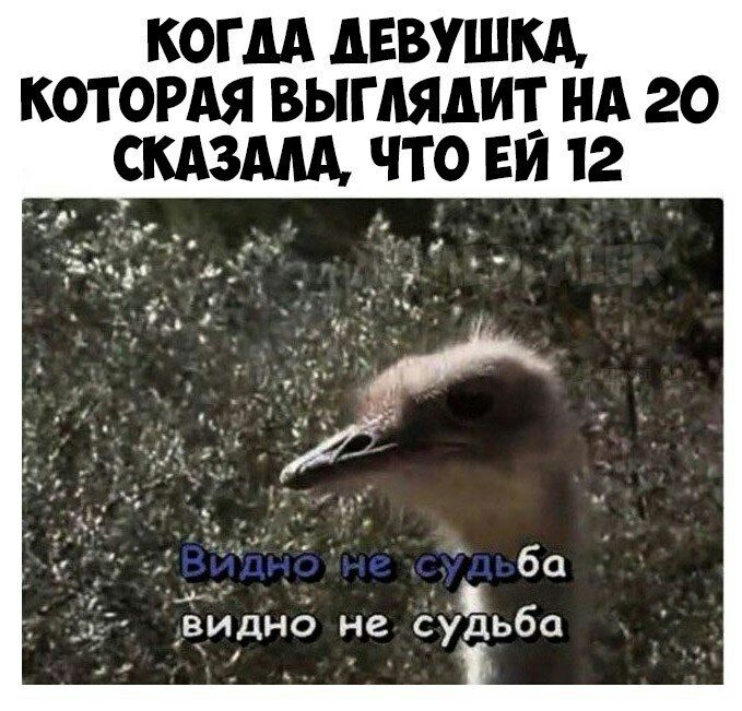 КОГДА дЕВУШКд КОТОРАЯ ВЫГМДИТ НА 20 СКАЗАМ ЧТО ЕМ 12 601 ци дидно не судьба