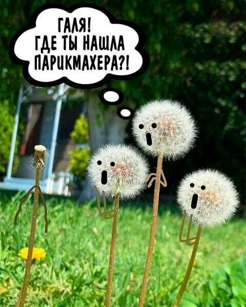 гмял где ты ндшм ПАРЦКМАХЕРА