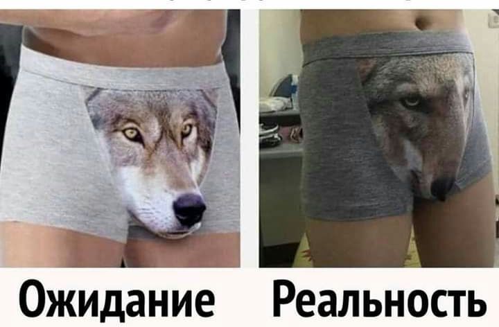 3 _ _ р Ожидание Реальность