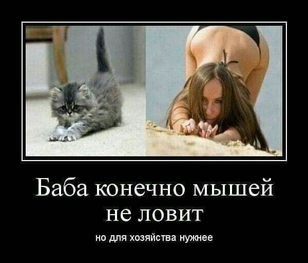 Баба конечно мышей не ловит но для хозяйства нужнее