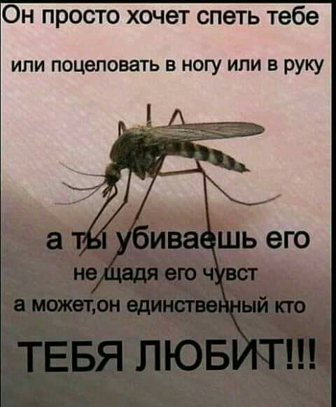 Он просто хочет спеть тебе или поцеловать в ногу или в руку