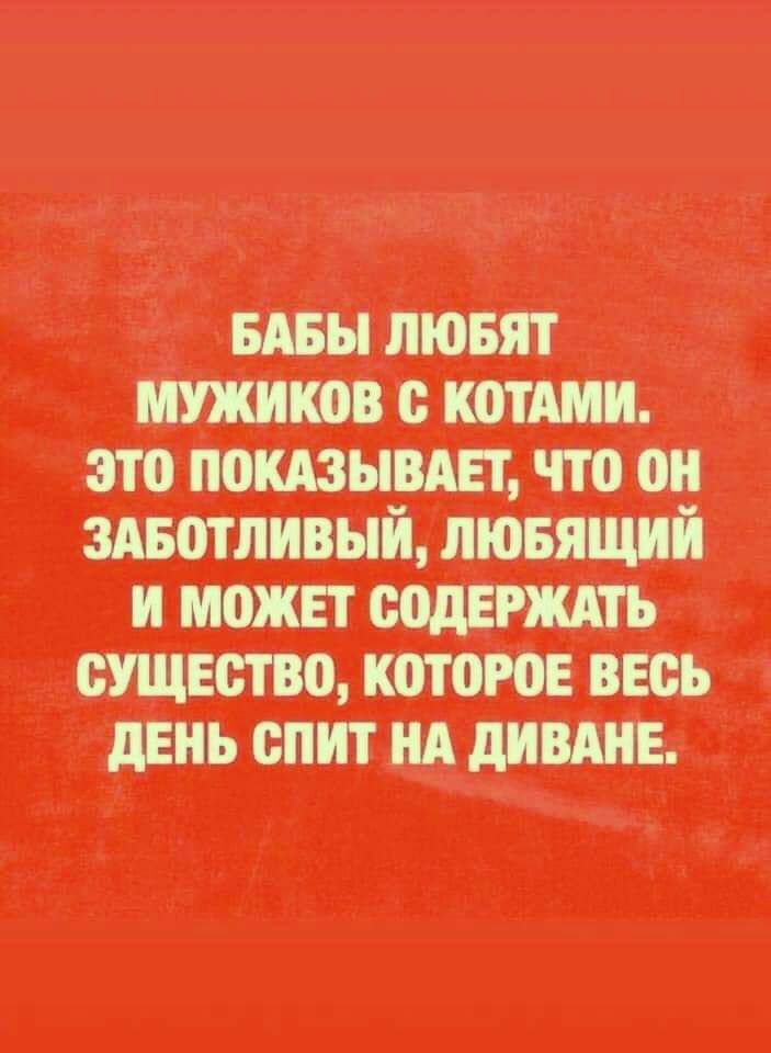 ШШ те штщши в рти