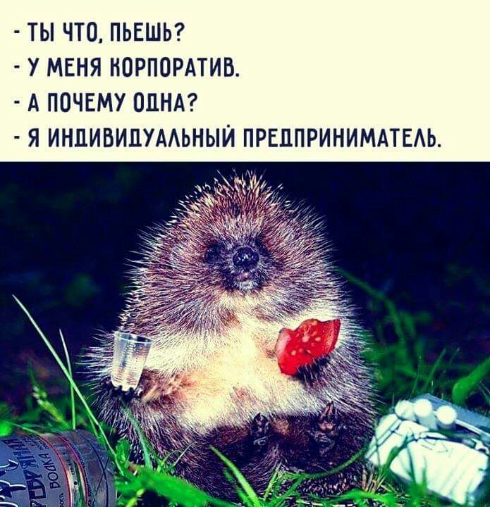 ТЫ ЧТО ПЬЕШЬ У МЕНЯ КОРПОРАТИВ А ПОЧЕМУ ОДНА Я ИНПИБИПУААЬНЫЙ ПРЕППРИНИМАТЕАЬ
