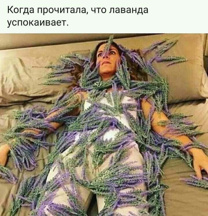 Когда прочитала что лаванда успокаивает