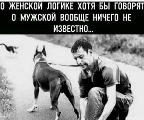 О ЖЕНСКОИ ЛОГИКЕ ХОТЯ БЫ ГОВОР О МУЖСКОЙ ВООБЩЕ НИЧЕГО НЕ ИЗВЕСТНО