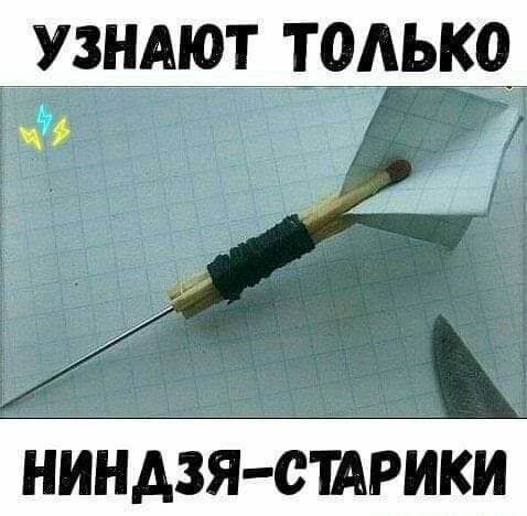 УЗНАЮТ ТОЛЬКО НИНАЗЯ СШРИКИ