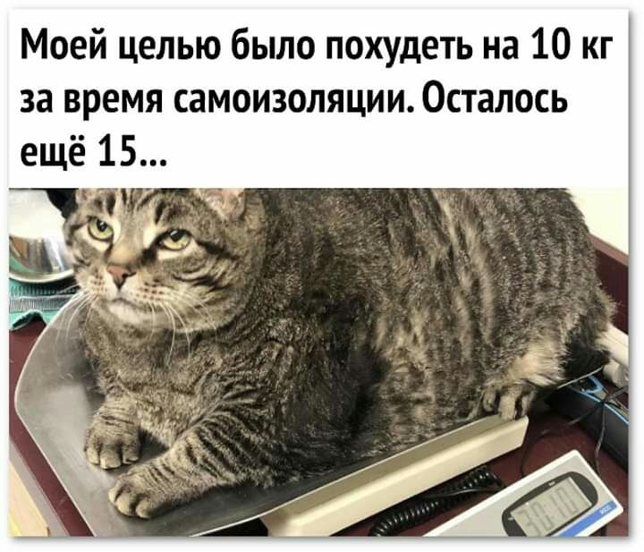 Моей целью было похудеть на 10 кг за время самоизоляции Осталось ещё 15