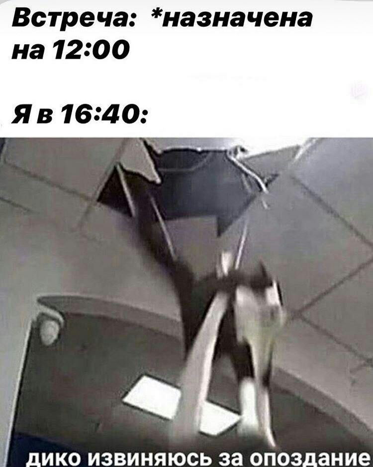 Встреча назначена на 1200 ЯВ 1640 ДИКО ИЗВИНЯЮСЬ за ОПОЗДЭНИВ