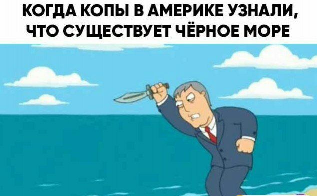 КОГДА КОПЫ В АМЕРИКЕ УЗНАЛИ ЧТО СУЩЕСТВУЕТ ЧЕРНОЕ МОРЕ