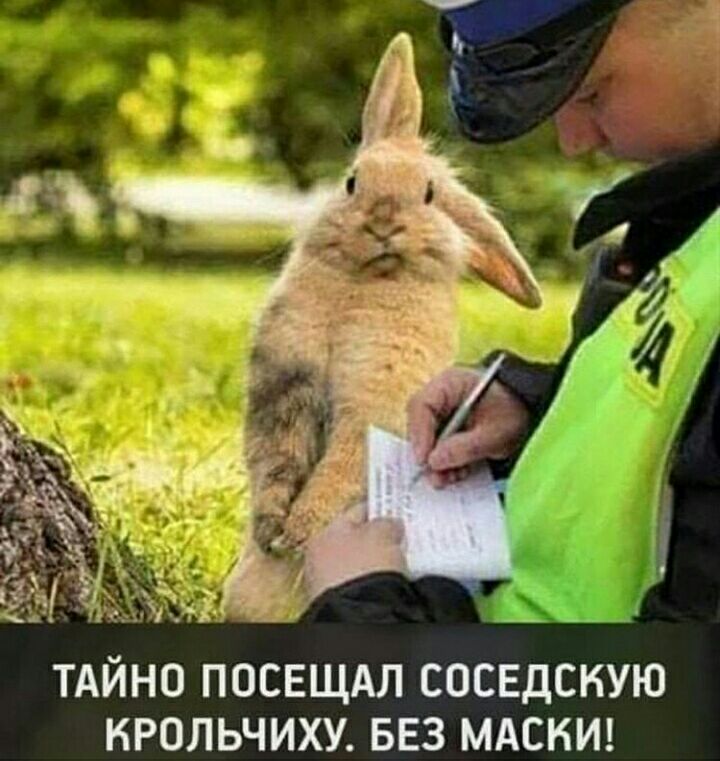 тдйно посвщдл соседскую крольчиху БЕЗ мдскид