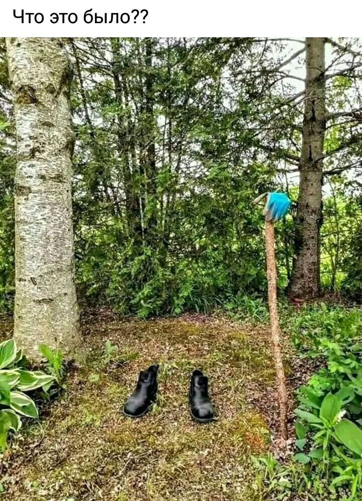 Что это было