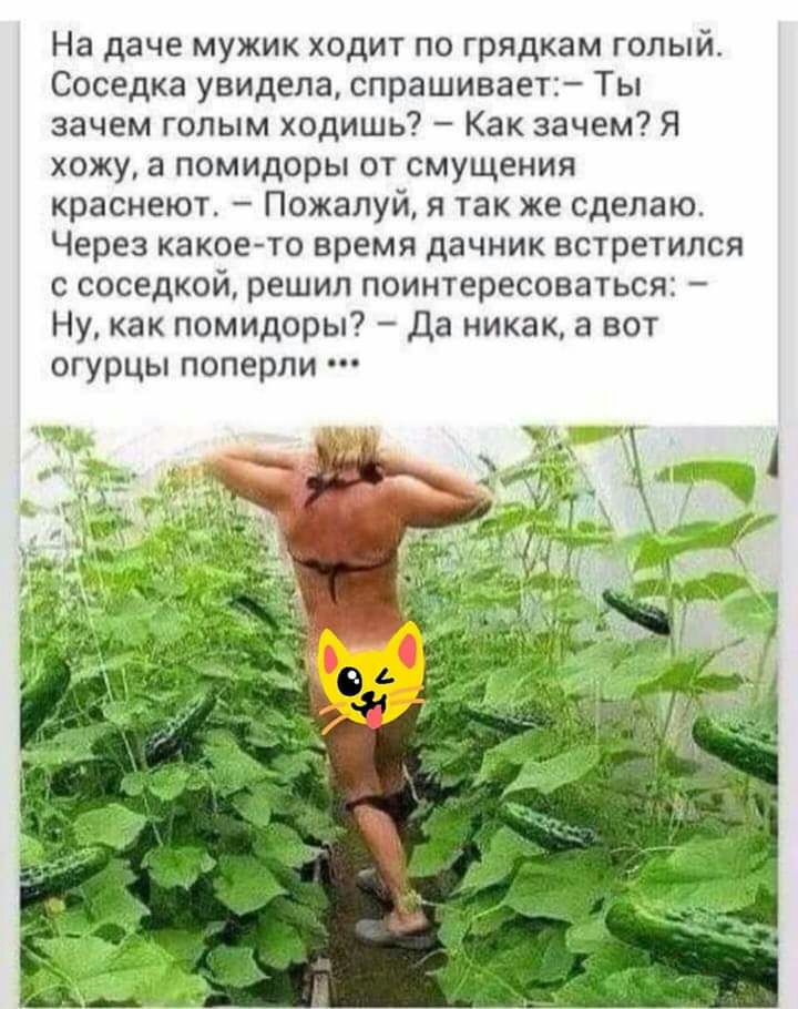 На даче мужик ходит по грядкам голый Соседка увидела спрашивает Ты зачем голым ходишь Как зачем Я хожу в помидоры от смущения краснеют Пожалуй я так же сделаю Через какое то время дачник встретился с соседкой решил поинтересоваться Ну как помидоры Да никак 3 вот огурцы поперли