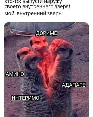 своего внутреннего зверя мой внутренний зверь дориме АДАПАРЕ ИНТіЕРИМО