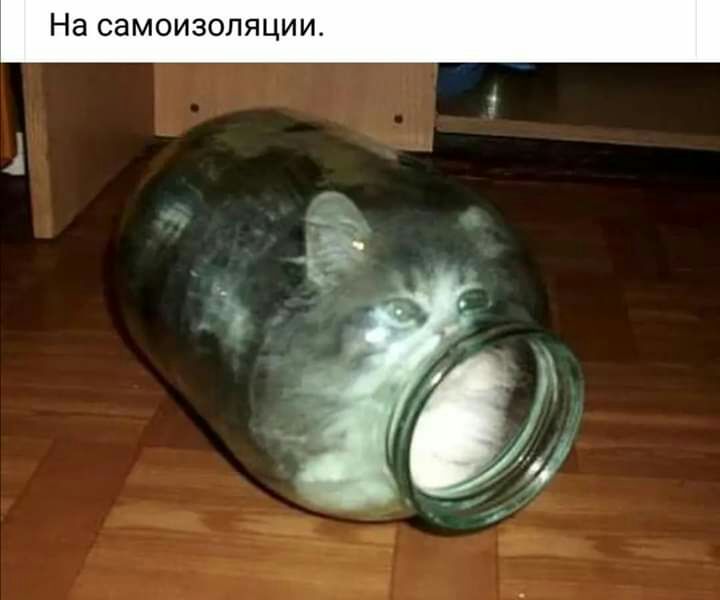 На СЗМОИЗОЛЯЦИИ