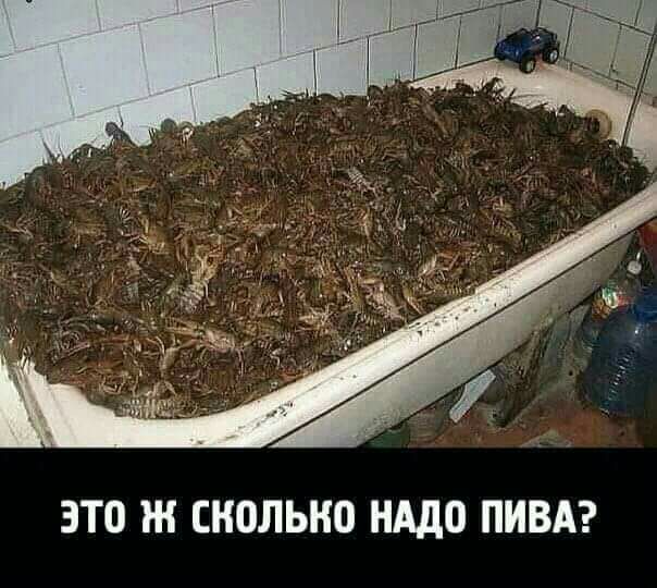 ЭТО Ж ЕНПЛЫЮ нддо ПИВА