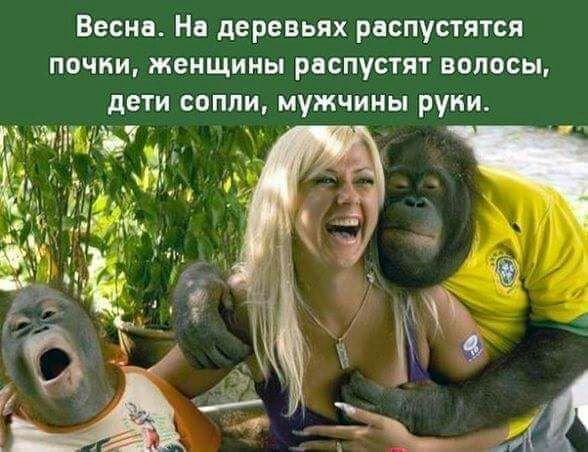 Весна На деревьях распустятся почки женщины распустят волосы