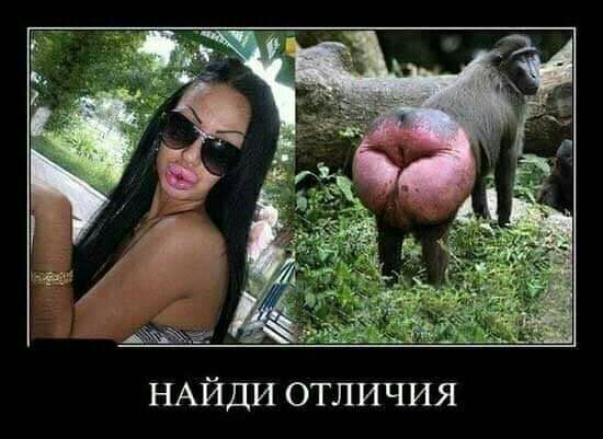 НАЙДИ отличия