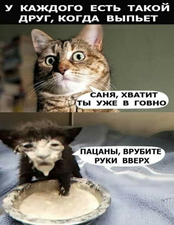 у кдждого ЕСТЬ ТАкой дРУГ КОГДА ВЫПЬЕТ ПАЦАНЫ ВРУБИТЕ РУКИ ВВЕРХ