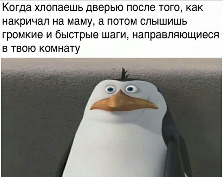 Когда ХЛОПЭЭШЬ дверью ПОСЛЕ ТОГО как НдКРИЧдЛ на маму а ПОТОМ СЛЫШИШЬ громкие И быстрые ШЗГИ НЭПРЗВЛЯЮЩИЭСЯ В ТВОЮ КОМНЗТУ
