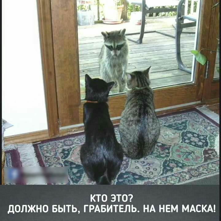 КТО ЭТО дОЛЖНО БЫТЬ Г РАБИТЕЛЬ НА НЕМ МАСКА